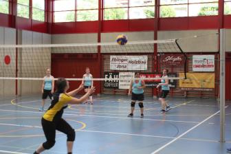Netzballmeisterschaft 2017